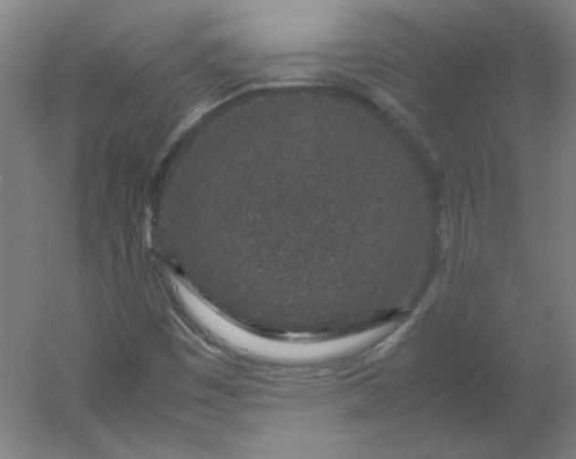 X0000054391449200508121620