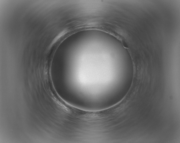 X0000054391450200508121620