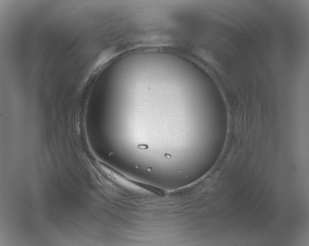 X0000054391451200508121620