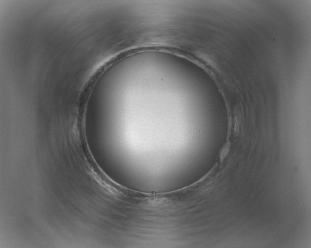 X0000054391452200508121620