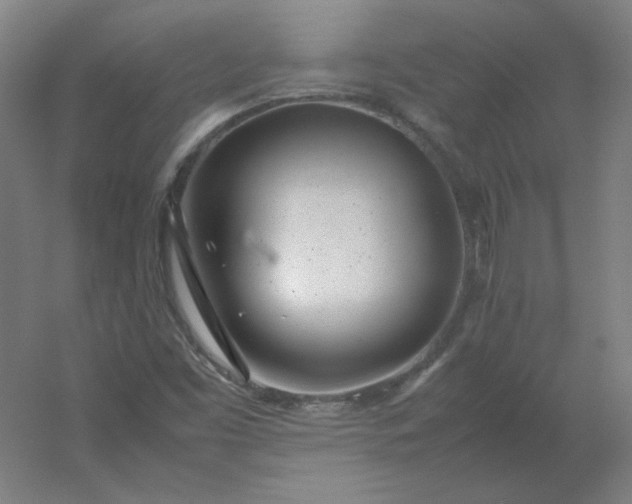 X0000054391453200508121620