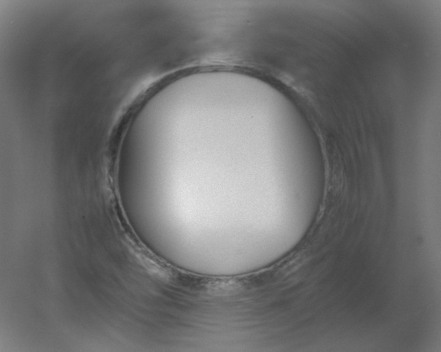 X0000054391454200508121620