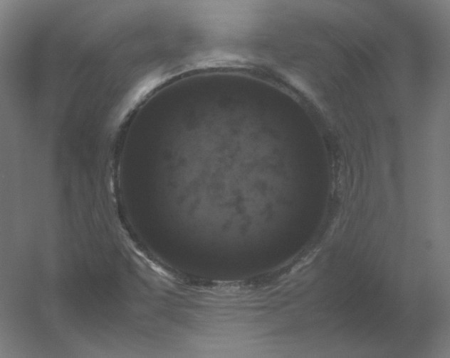 X0000054391455200508121620