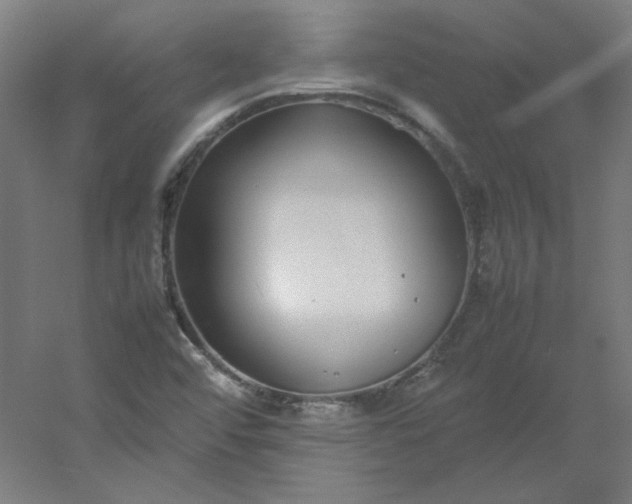 X0000054391456200508121620