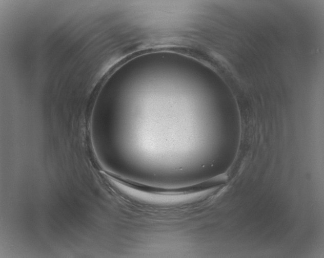 X0000054391457200508121620