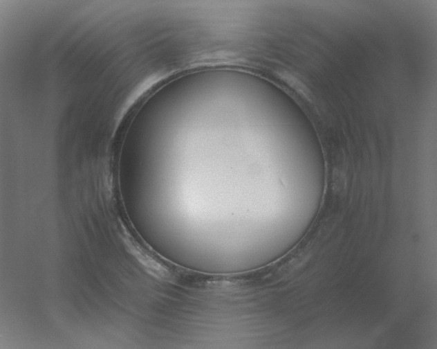 X0000054391458200508121620