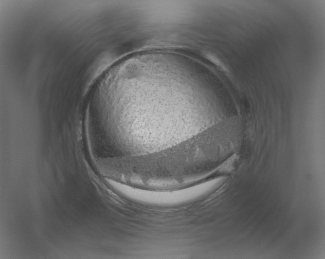 X0000054391459200508121620