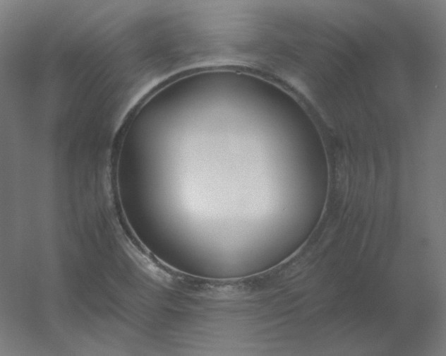 X0000054391460200508121620