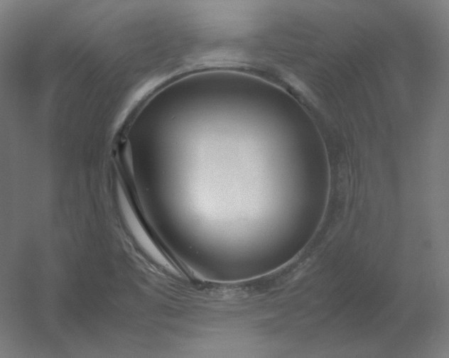 X0000054391461200508121620