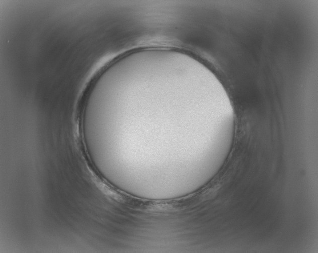 X0000054391462200508121620