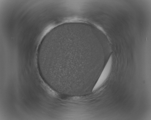 X0000054391463200508121620