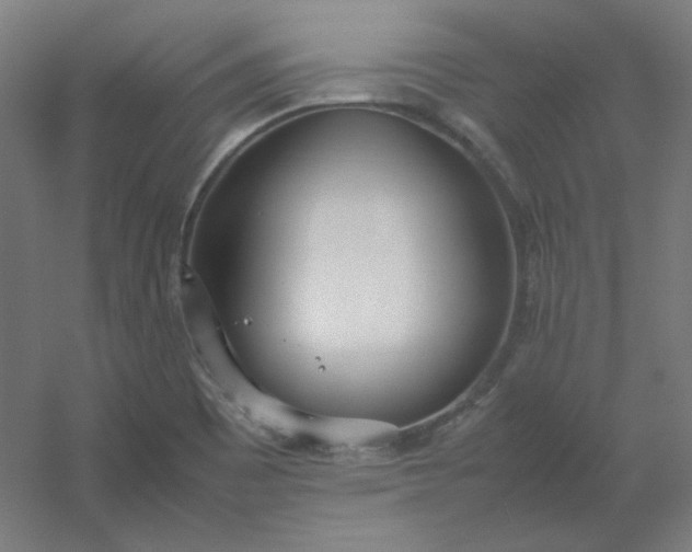 X0000054391465200508121620