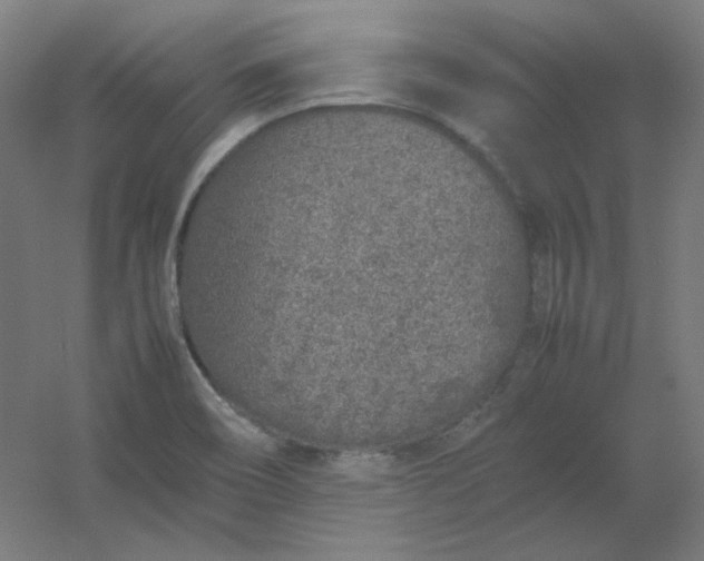 X0000054391466200508121620