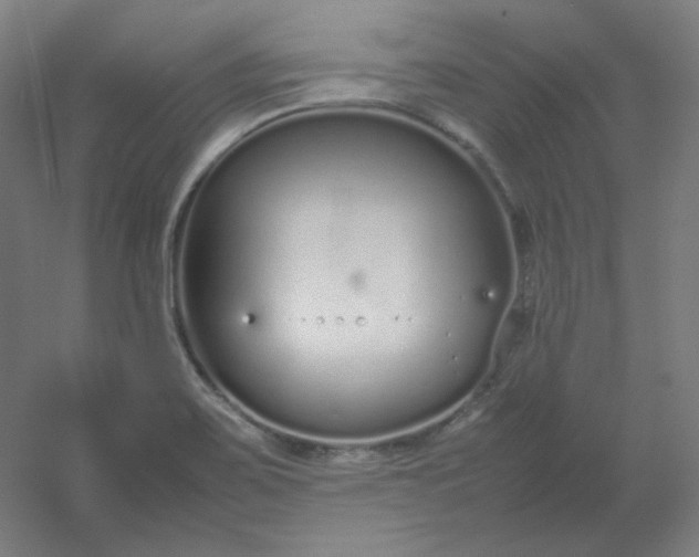 X0000054391467200508121620