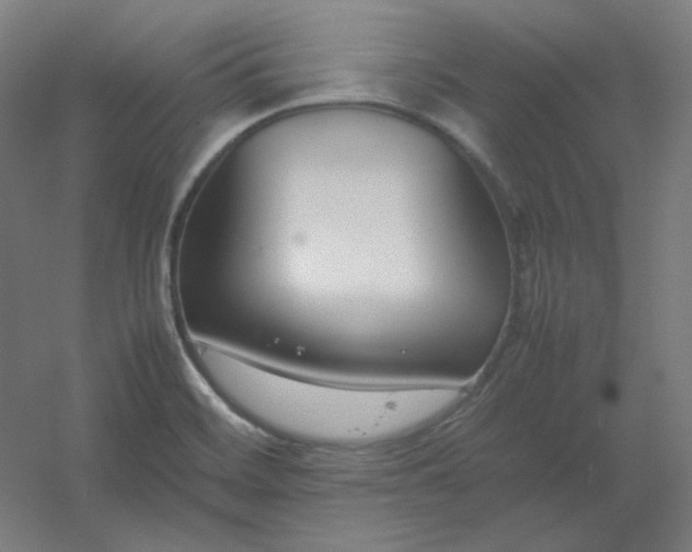 X0000054391468200508121620