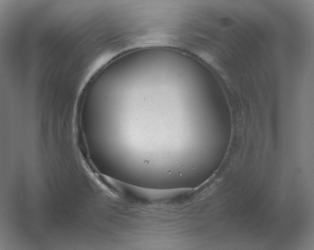 X0000054391469200508121620