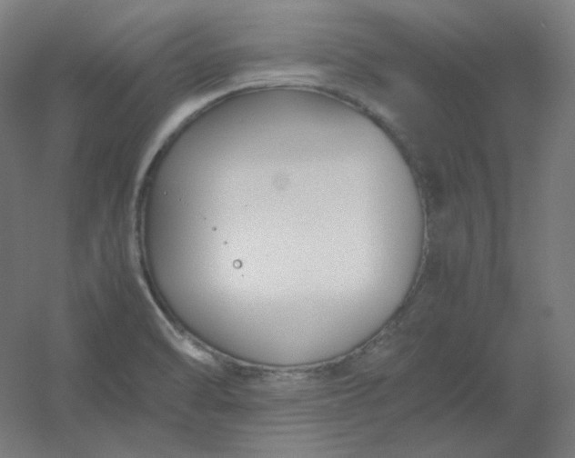 X0000054391470200508121620