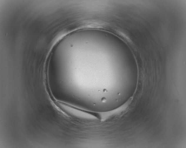 X0000054391471200508121620