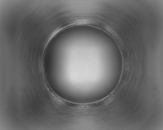 X0000054391473200508121620