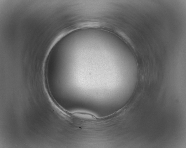 X0000054391475200508121620