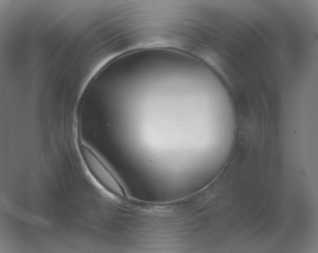 X0000054391476200508121620