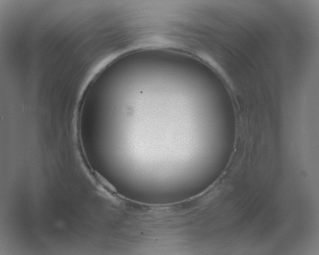 X0000054391477200508121620