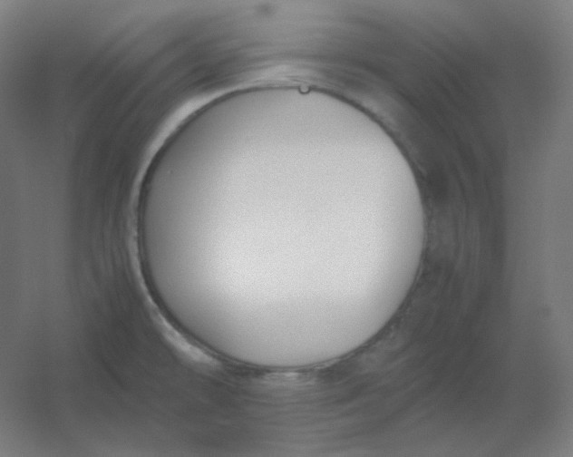 X0000054391478200508121620