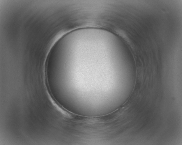 X0000054391479200508121620