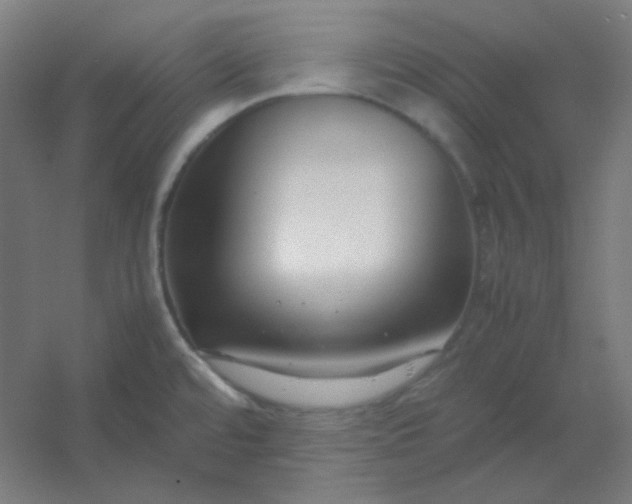 X0000054391480200508121620