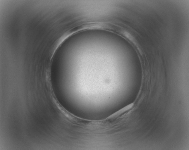 X0000054391481200508121619