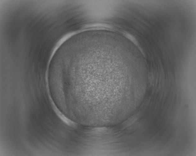 X0000054391482200508121619