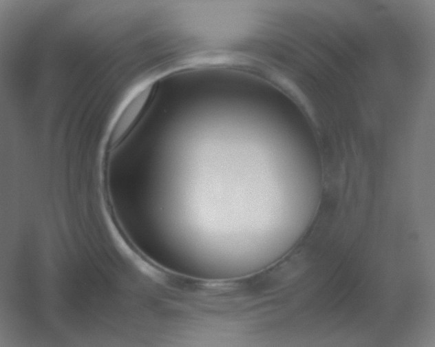 X0000054391483200508121619