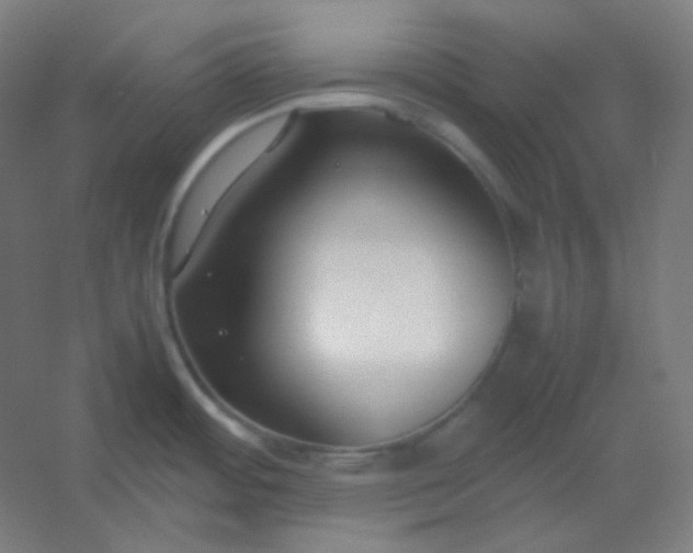 X0000054391484200508121619