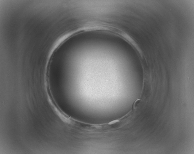 X0000054391485200508121619