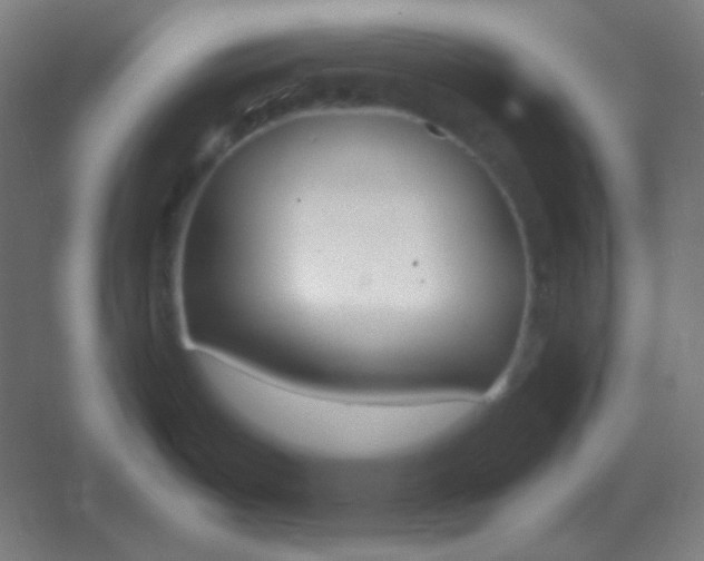 X0000054391487200508121619