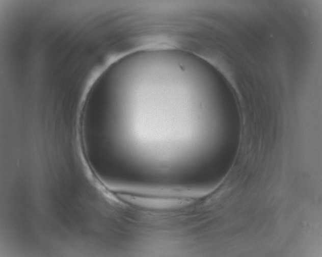 X0000054391488200508121619