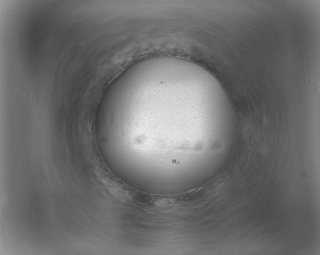 X0000054391489200508121619