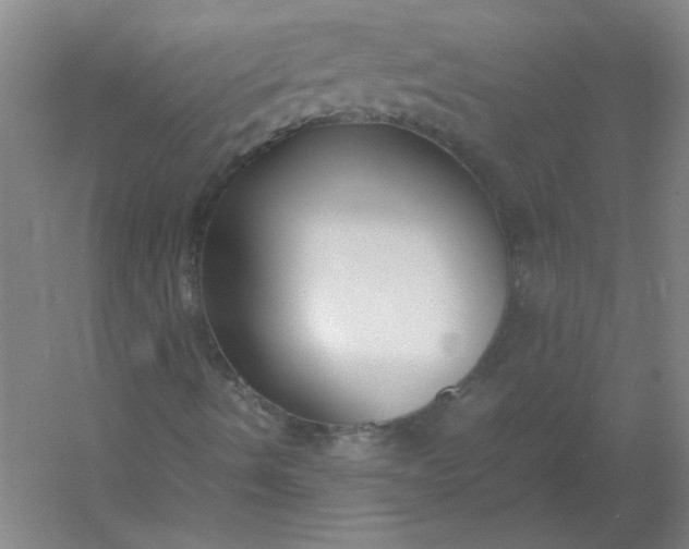 X0000054391490200508121619