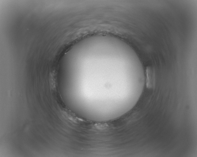 X0000054391491200508121619