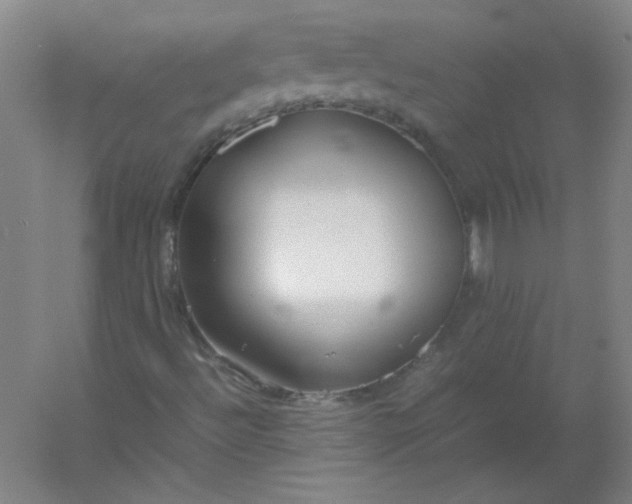 X0000054391492200508121619