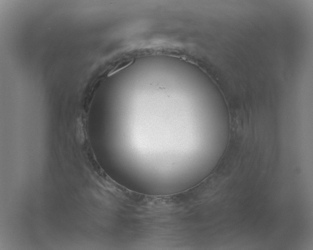 X0000054391493200508121619