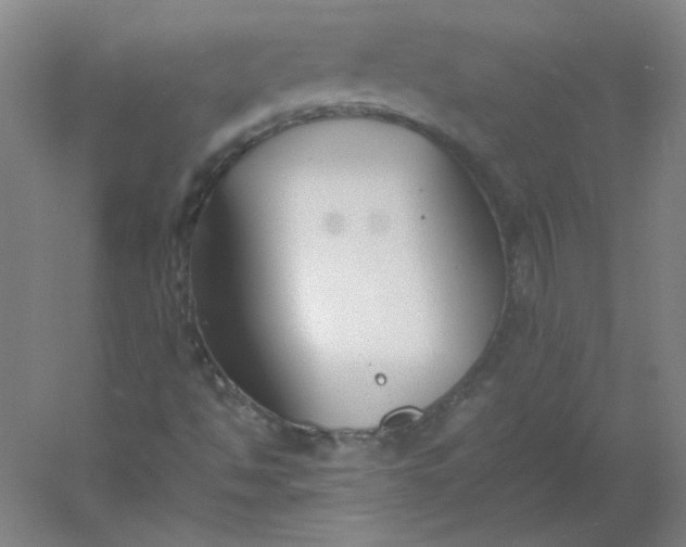 X0000054391494200508121619