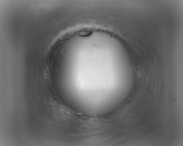 X0000054391495200508121619