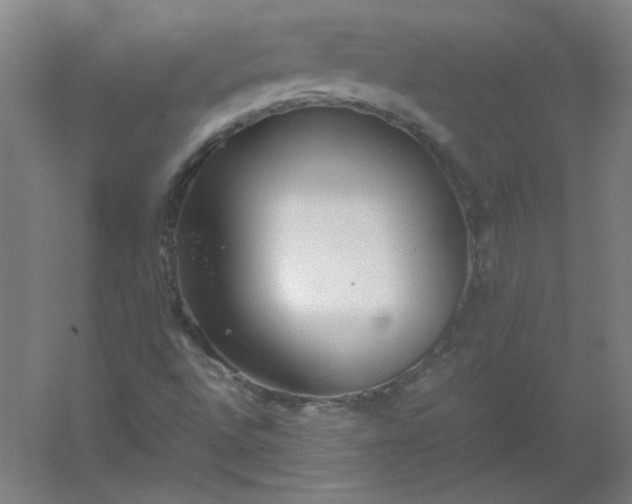 X0000054391496200508121619