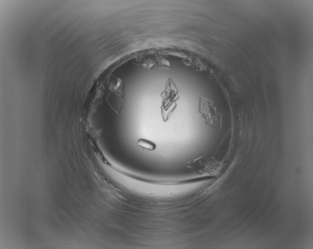 X0000054391497200508121619