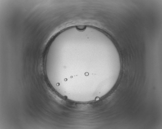 X0000054391498200508121619