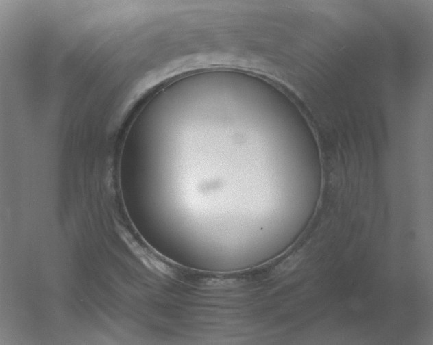 X0000054391499200508121619