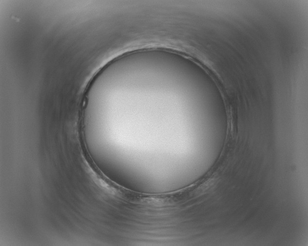 X0000054391500200508121619