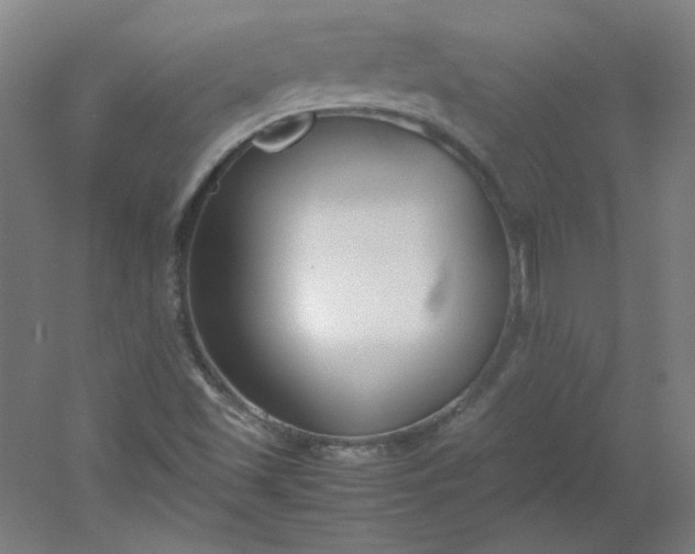 X0000054391501200508121619