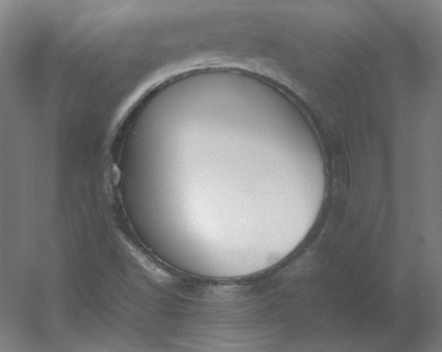 X0000054391502200508121619